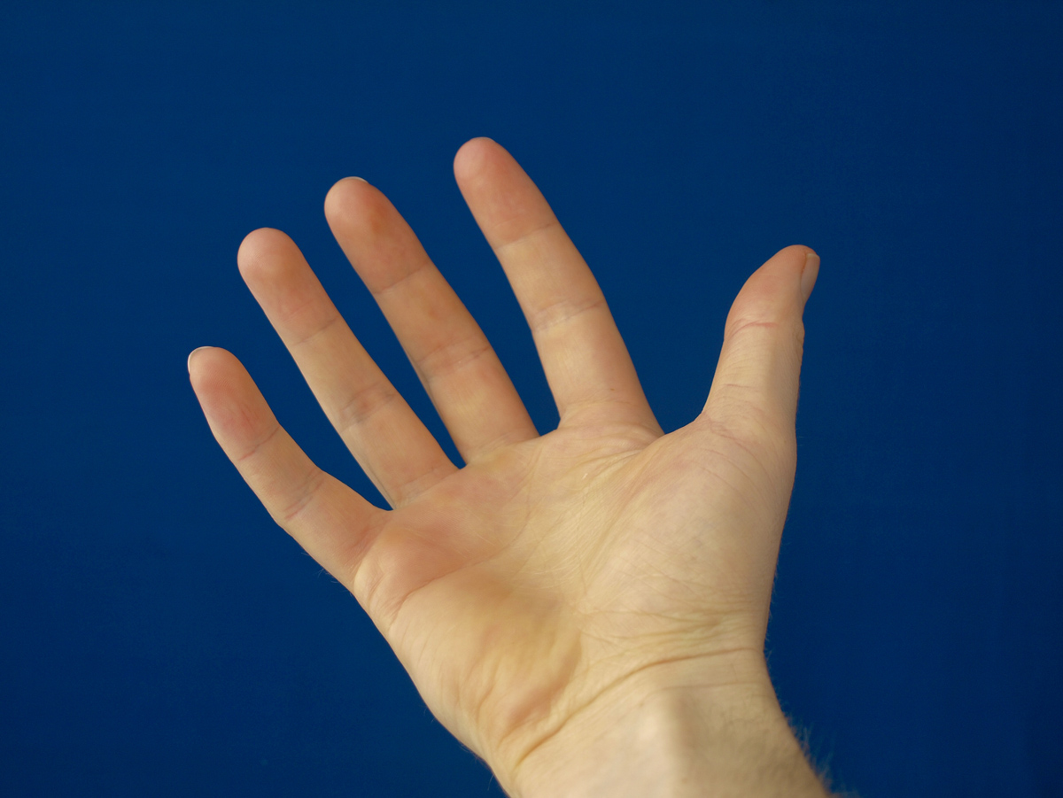 Hand