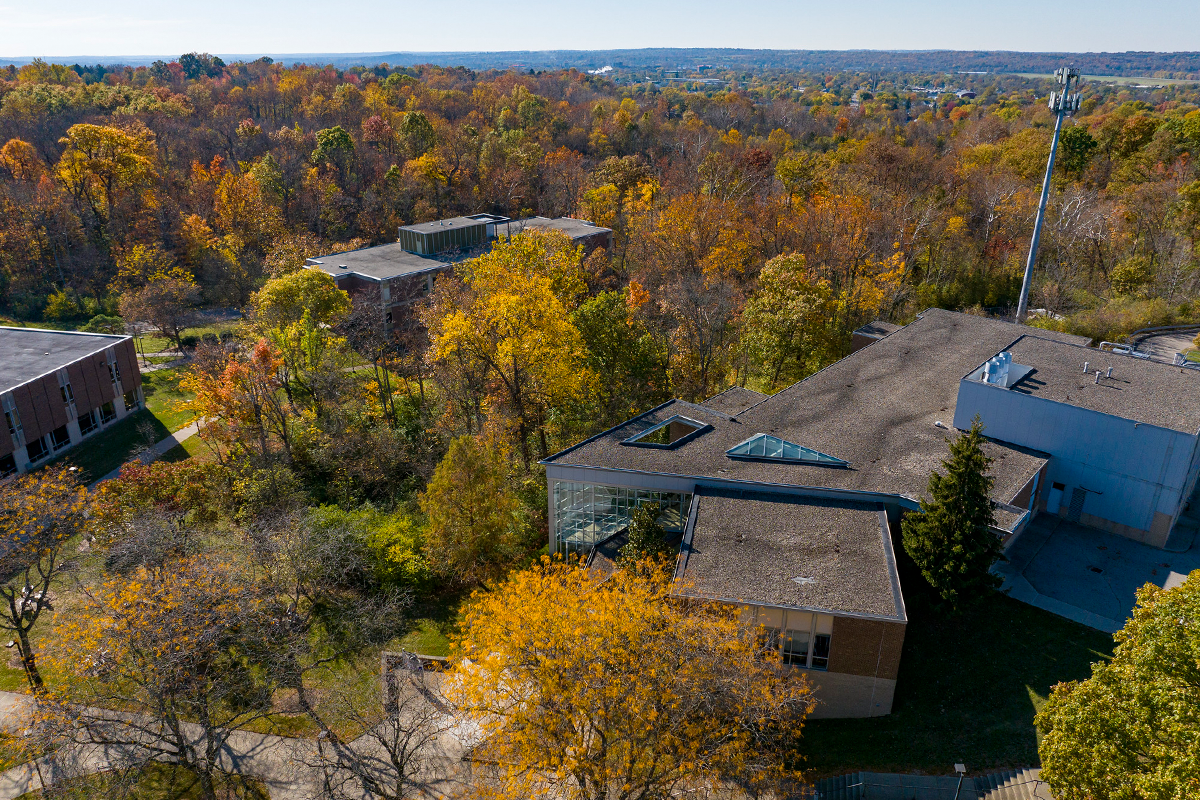 Photograph of trees on the Middletown campus.